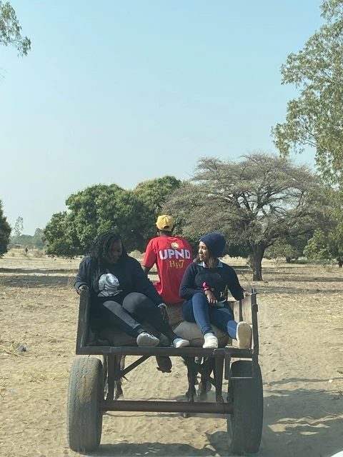 Ambuyama aa enda mu thsikocikara: Thsikocikara po thsinu thsimweya thso ku endera ethsi thsi di no dironga edi di na kokiwanga ku mapuru edi nji endongi. Edi dironga dyaa cikwathsithsiwanga ku shimba anu ci etenga.